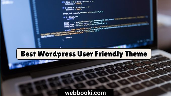 Best Wordpress User Friendly Theme